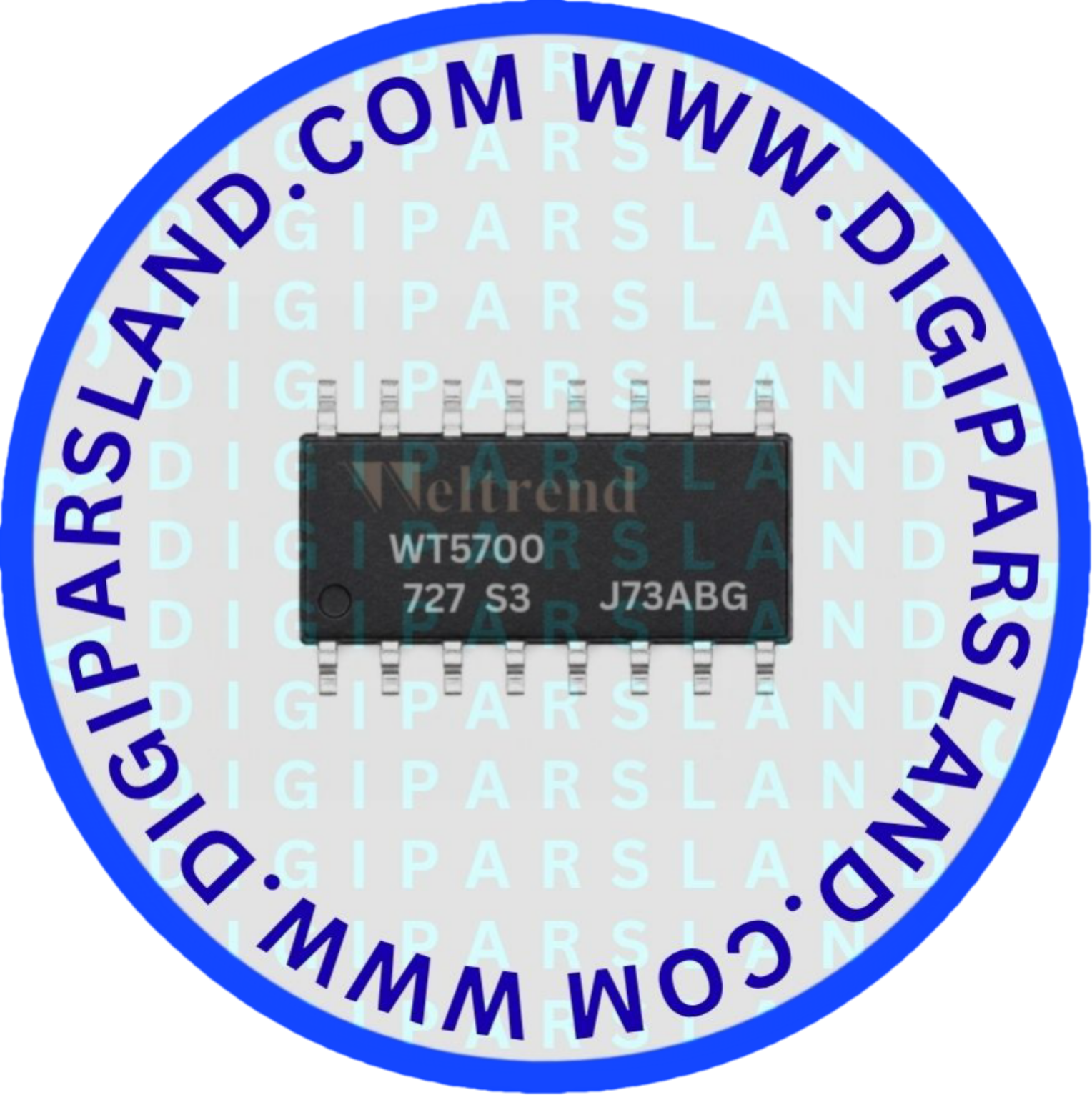 آی‌سی WT5700